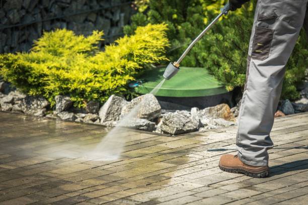 Best Building Exterior Washing  in Woodland Beach, MI