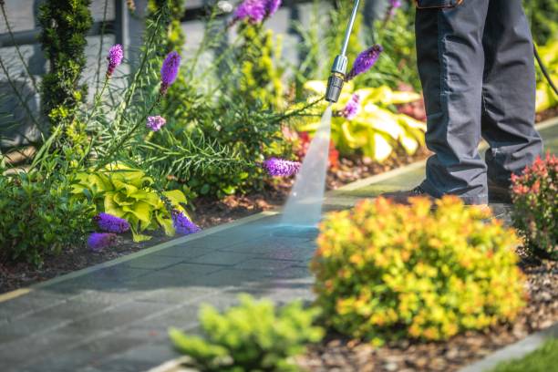 Best Dumpster Area Cleaning  in Woodland Beach, MI